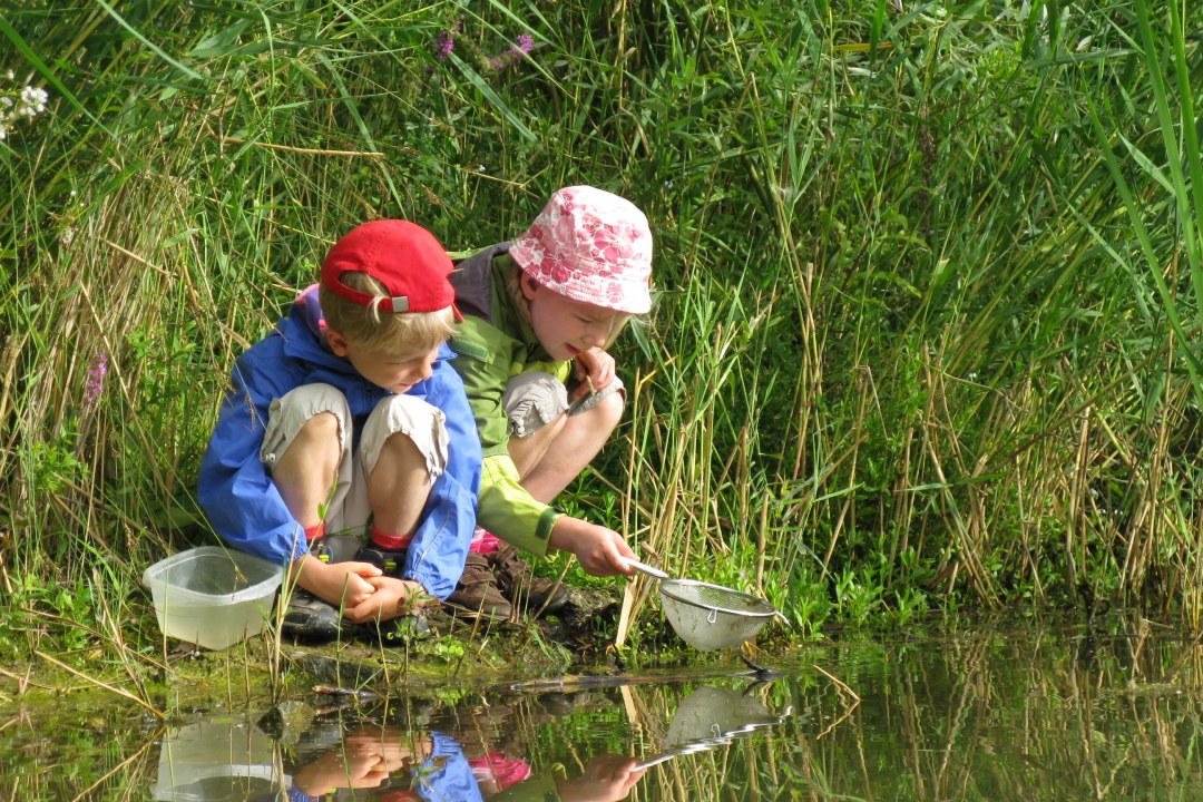 Zwei Kinder hocken an einem Gewässer und keschern mit Sieb und Behälter nach Kleinstlebewesen im Wasser