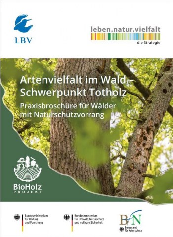 LBV-Broschüre_BioHolz-Projekt