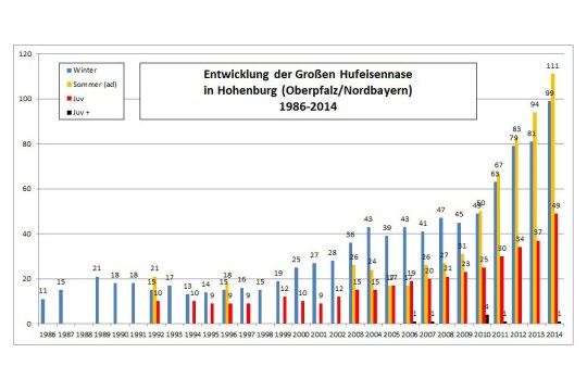 Entwicklung Große Hufeisennase 1986 - 2014 im Sommer