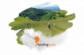 Reise für 2 Personen von birdingtours
