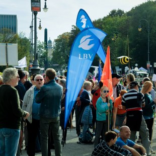 Mia ham's satt-Demo auf dem Königsplatz mit zwei LBV Beachflags und mehreren LBV-Bannern | © LBV