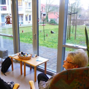 Zwei Seniorinnen sitzen vor dem Vogelfenster und beobachten die Futterstation | © Burkhard von Seckendorff Heim
