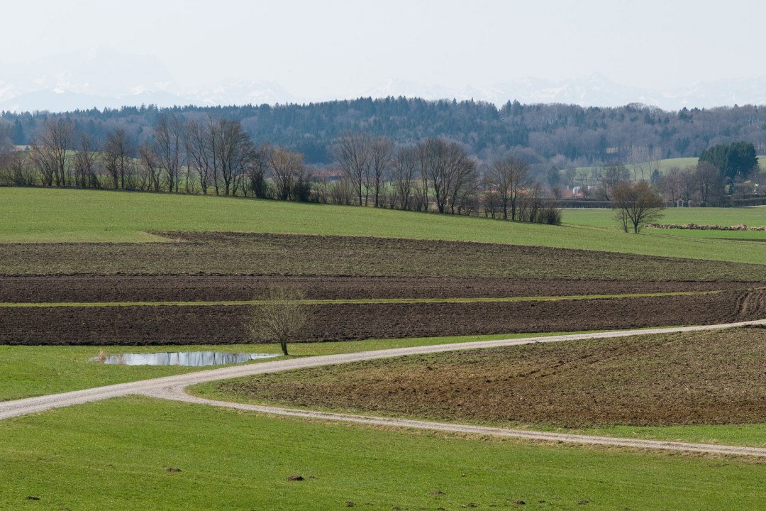 Landwirtschaftliche Fläche mit Wegen und Bäumen im Hintergrund| © Thomas Dürst
