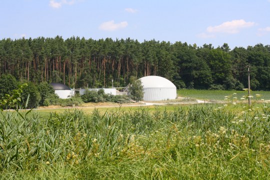 Biogasanlage vor einem Fichtenwald, davor grüne Wiese | © Birgit Helbig