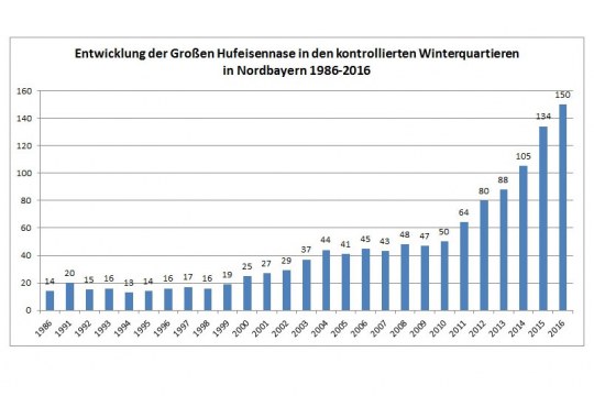 Entwicklung Große Hufeisennase 1986 - 2016 in den Winterquartieren