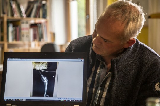 Markus Schmidberger zeigt bei einem Pressegespräch am Laptop Röntgenaufnahmen eines erschossenen Greifvogels | © Dieter Renner