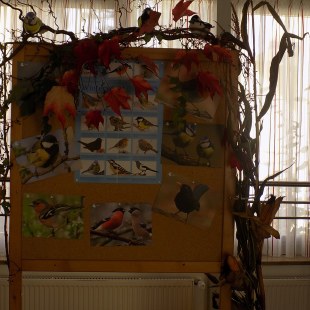 die Bewohner des Seniorenzentrum Maria Hilf in Passau haben eine Pinnwand zur Vogelbeobachtung erstellt | © Renate Bischoff, Passau