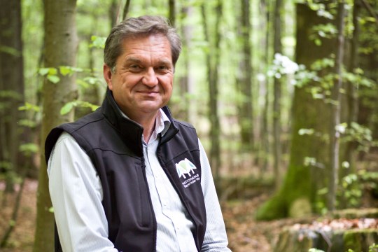Dr. Franz Leibl sitzt im Wald
