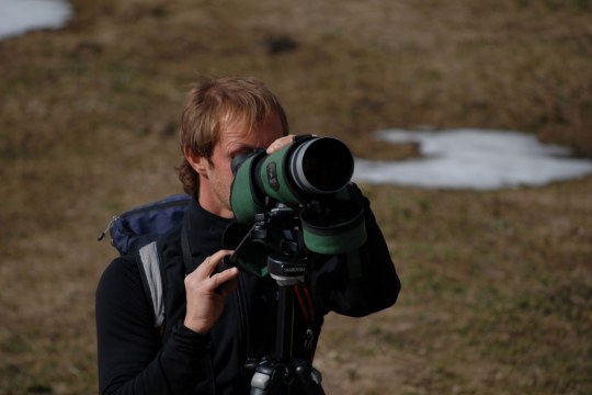 Beobachten, bewachen und zählen - Monitoring von Adlern | © Henning Werth
