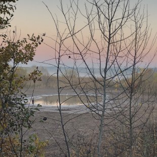 Naturschutzgebiet  am Rothsee mit einem Silberreiher | © Nathaly Neusser