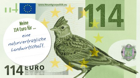 Postkarte die aussieht wie ein Geldschein mit der Zahl 114 Euro. Drauf ist eine Feldlerche zu sehen und es steht "Meine 114 Euro für... eine naturverträgliche Landwirtschaft" darauf