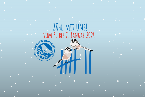 Website Banner Stunde der Wintervögel Motiv zentral