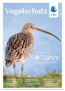 Brachvogel auf dem Cover des LBV-Magazins 01/2019