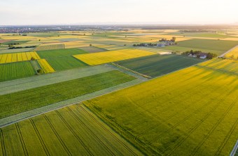 Agrarlandschaft | © Dr. Olaf Broders