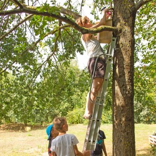 Janina Kempf steht auf einer Leiter, die an einen Baum angelehnt ist. Sie befestigt einen Nistkasten. Drei Kinder stehen am Ende der Leiter und schauen zu | © memo AG