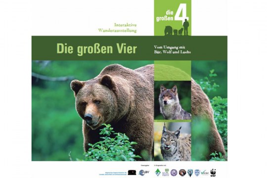 Cover Broschüre "Die großen 4" - Bär, Wolf, Luchs