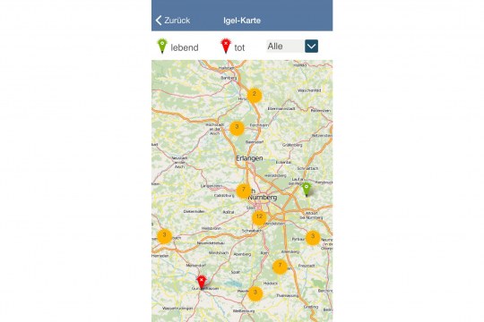 Karte der Igel in Bayern-App mit Igelmeldungen | © LBV, BR