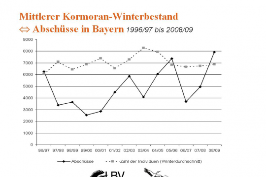 Grafik zum Kormoran-Abschuss in Bayern