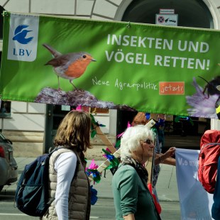 LBV-Demozug bei Mia ham's satt auf dem Odeonsplatz mit LBV Banner "Insekten und Vögel retten!" | © LBV