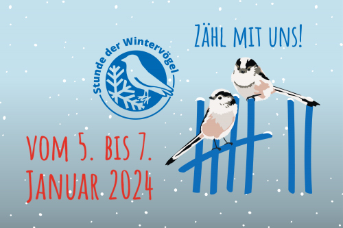 Website Banner Stunde der Wintervögel