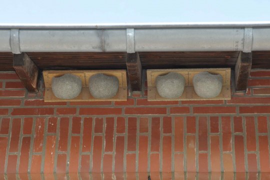 Nistkästen für Mehlschwalben an einem Dach | @ Rolf Thiemann