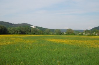 Donaustauf Blick Thiergarten Scheuchenberg | © Christoph Bauer