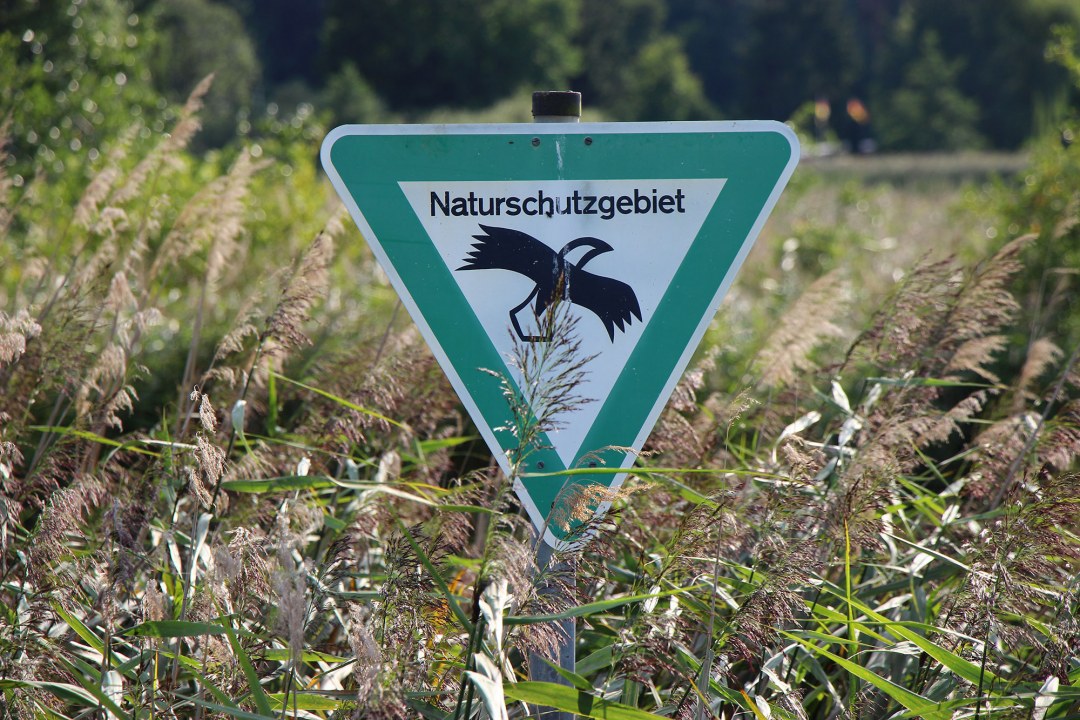 Ein dreieckiges Schild mit einem dicken grünen Rand, einer weißen Innenfläche und einem symobolhaften schwarz-weißen Vogel. Über dem Vogel steht Naturschutzgebiet. | © Carola Bria