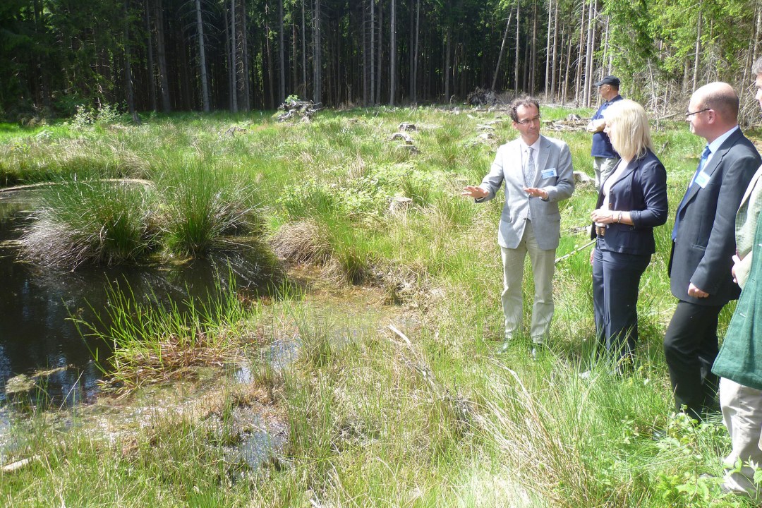 Moorbesichtigung mit Umweltministerin Scharf, LBV-Vorstand Dr. Schäffer und Prof. Kollmann von der TU München | © Helmut Beran