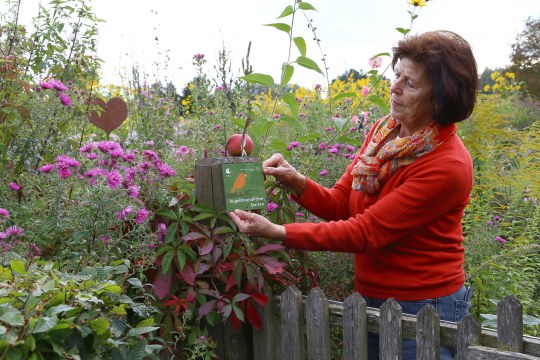 Eine ältere Frau in rotem Pullover bringt die Plakette Vogelfreundlicher Garten an ihrem Gartenzaun an | © Carola Bria