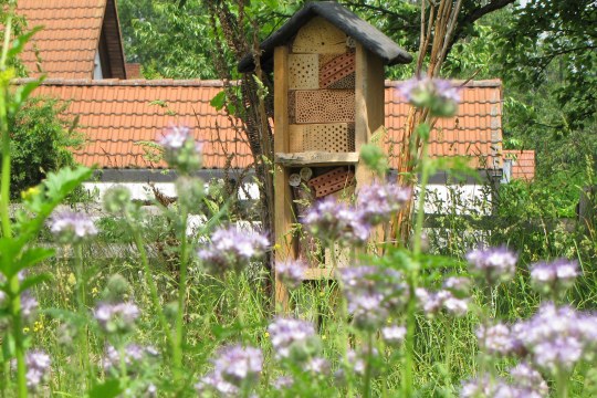 Insektenhotel steht in einer Blumenwiese | © Birgit Helbig
