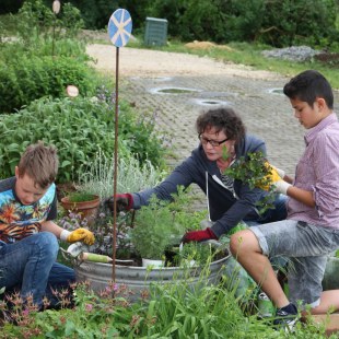 Schulgarten-Wettbewerb 2016 Mittelschule Ensdorf Pflanzen | © Mittelschule Ensdorf