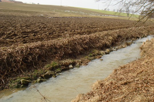 Fließgewässer ohne Randstreifen, das Feld geht quasi direkt bis zum Gewässer | © LBV