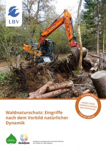 Waldnaturschutz: Natürliche Dynamiken