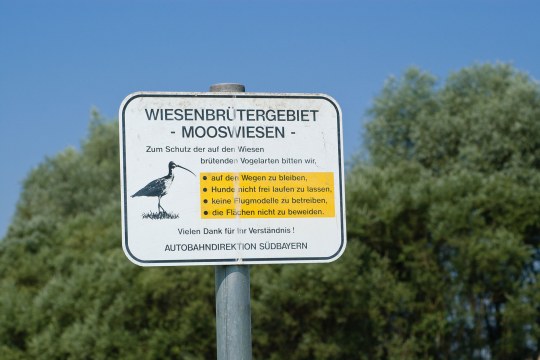 Schild weist auf Wiesenbrütergebiet hin und dass man für ihren Schutz einiges beachten sollte | © Thomas Dürst