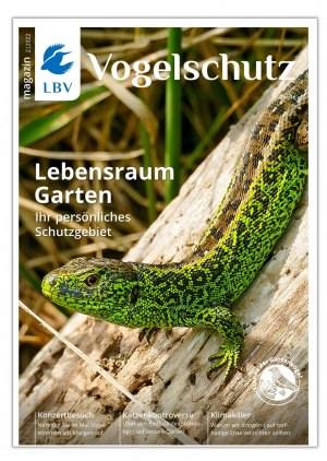 Cover Vogelschutzmagazin 02-22  mit Zauneidechse