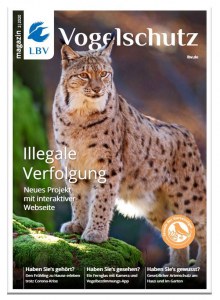 Luchs auf dem Cover des LBV-Magazins 02/2020