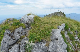 Edelweiss am Gipfelkreuz im Ammergebirge | © Dr. Olaf Broders