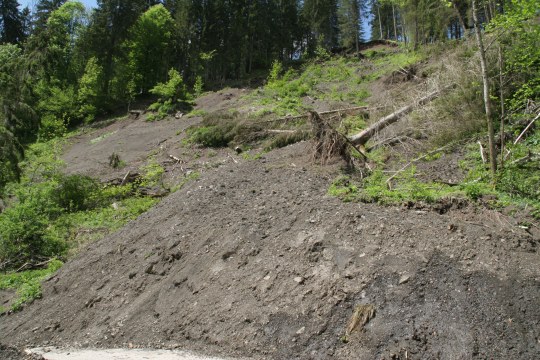 Erosion ueber Forststrasse im Wettersteingebirge | © Hans-Joachim Fünfstück