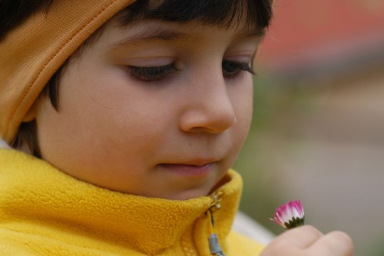 Kind schaut sich ein Gänseblümchen an | © LBV