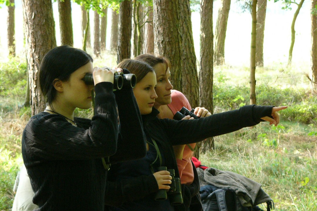 Drei weiblichen Bundesfreiwillige beobachten im Wald Vögel mit einem Fernglas | © Martina Widuch