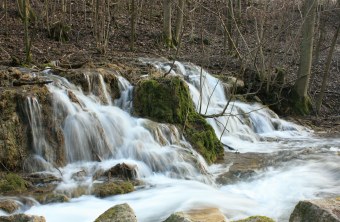 Kalktuffbach im Wald mit wasserfallähnlichen Stufen (LBV-Archivbild) | © Anne Schneider