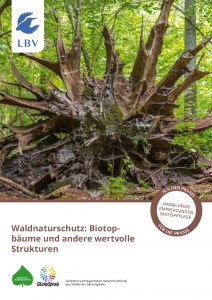 Waldnaturschutz: Strukturen