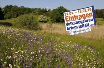 Blumenwiese im Sommer. In der Ecke ist das Signet des Volksbegehrens mit dem Eintragungszeitraum vom 31.1. bis 13.2.2019 zu sehen | © Dr. Eberhard Pfeuffer