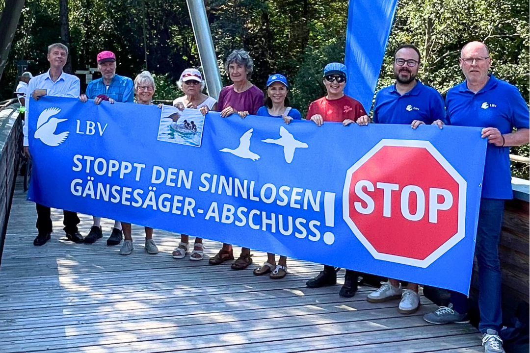 Protestbanner gegen Gänsesägerabschüsse | © Hanne Wiesener