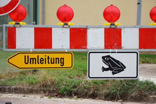 Warnschild macht auf Krötenwanderung aufmerksam | © Peter Bria