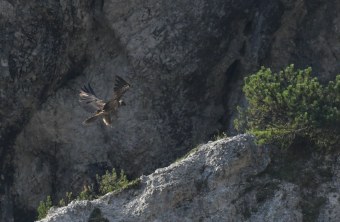 Bavaria fliegt auf Fels | © Michael Wittmann