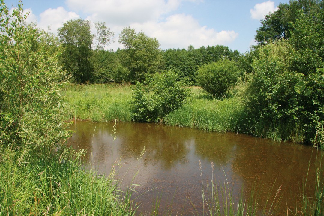 Fluss im LBV-Schutzgebiet Kahlgrund | © Julia Römheld