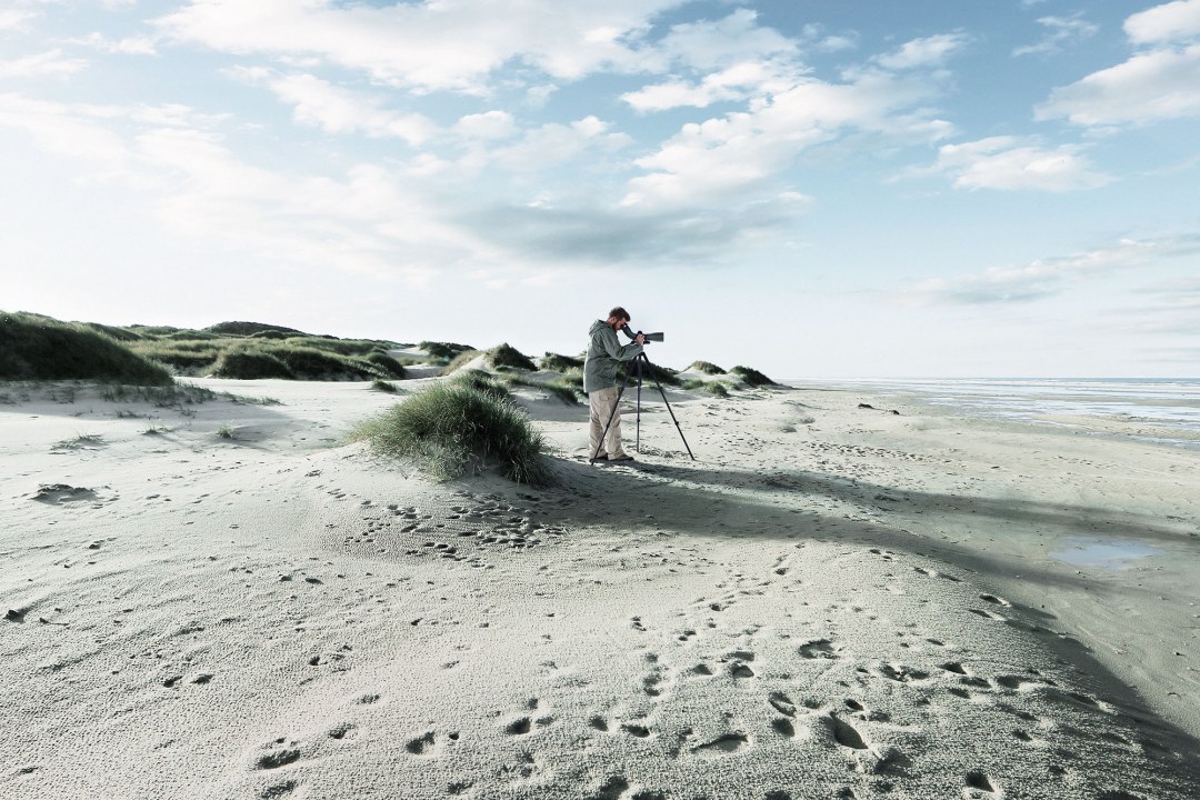Mann steht an einem Strand an der Nordseeküste in der Ferne und schaut durch das neue BTX | © Swarovski Optik