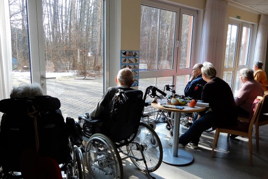 Senioren beobachten am Vogelfenster die Futterstation | © AWO-Pflegeheim Wendelstein