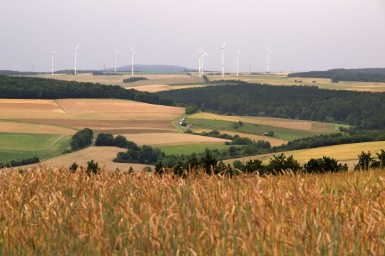Windpark nahe Thüngen | © Oliver Wittig